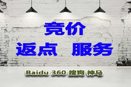 充值高返点策略：成功案例分析与解读