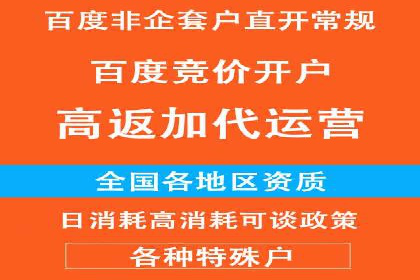 百度竞价赚钱技巧：实战案例分析